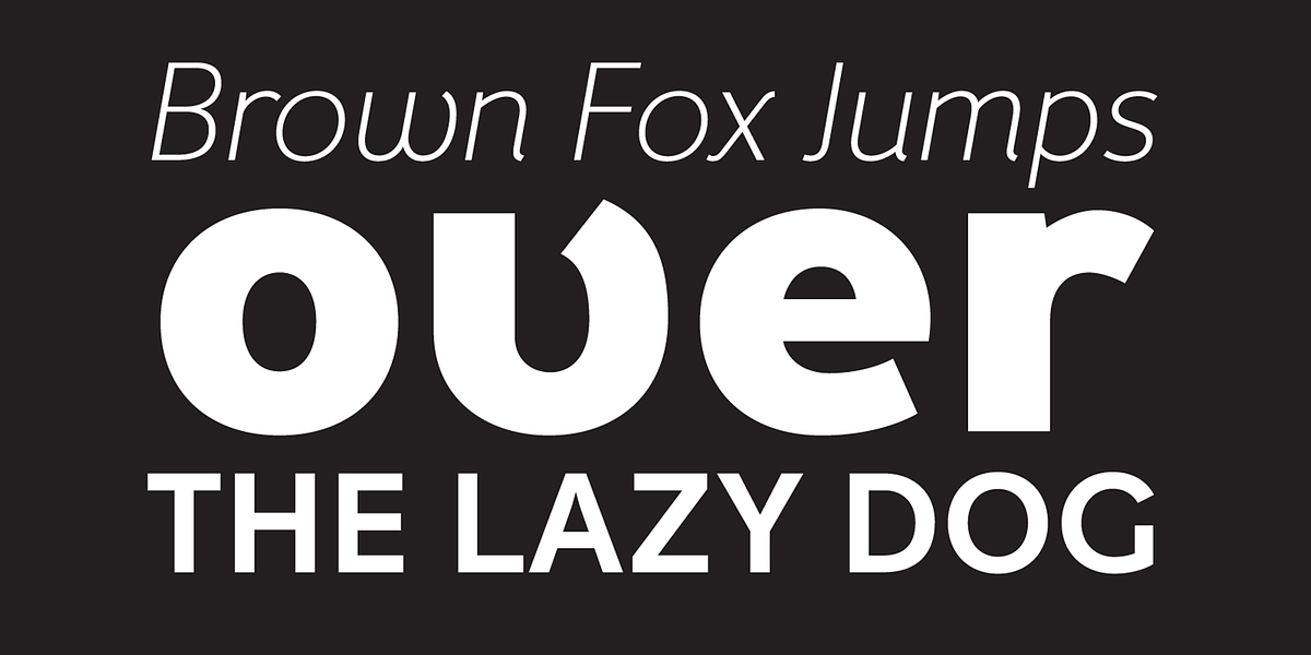 Fox Grotesque Pro, a Sans Serif Font by TipografiaRamis (Photo 5 of 10)
