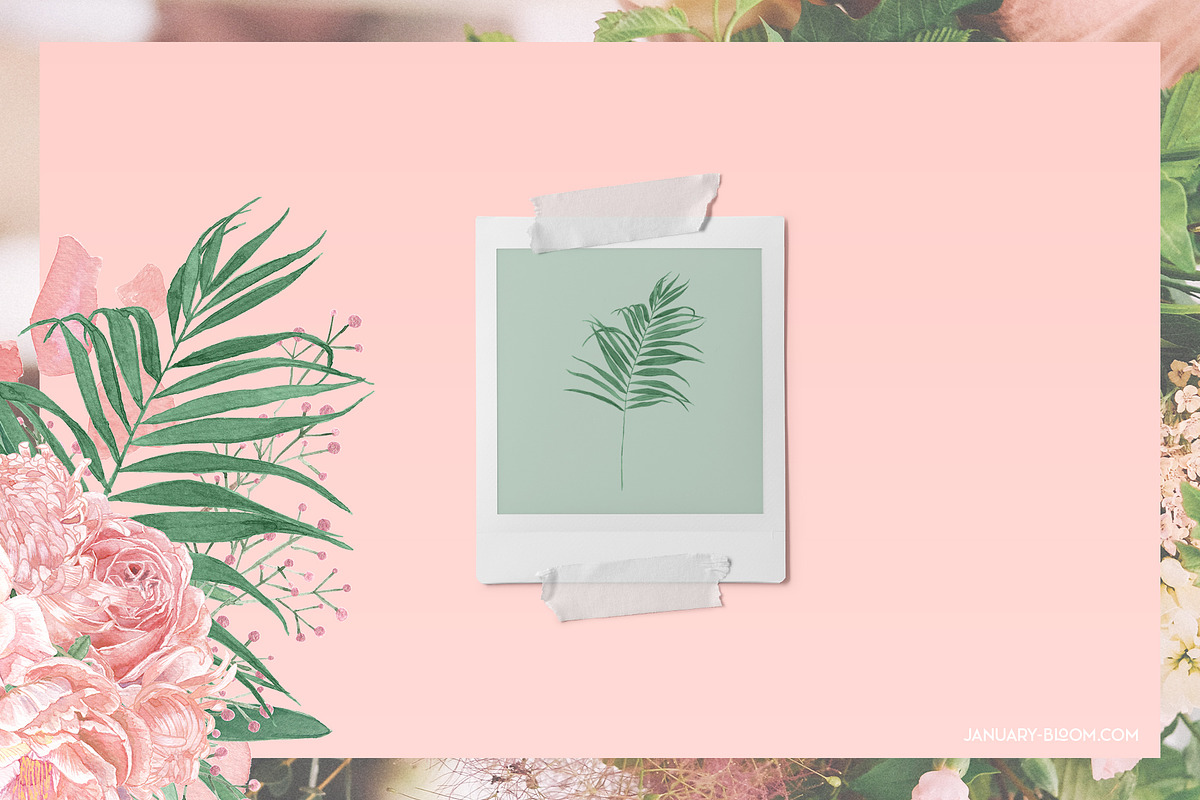 Tropical Romance modern floral rose, an Illustration by January Bloom (Photo 17 of 29)