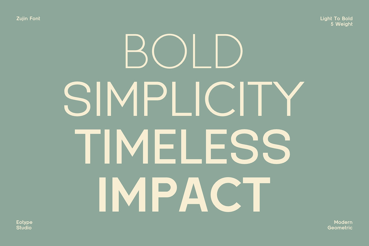 Zujin - Geometric Sans-Serif, a Font by Eotype Studio (Photo 2 of 12)
