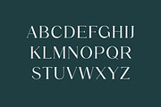 Biconvex Elegant Serif Font, a Serif Font by UICreative (Thumbnail 5 of 13)