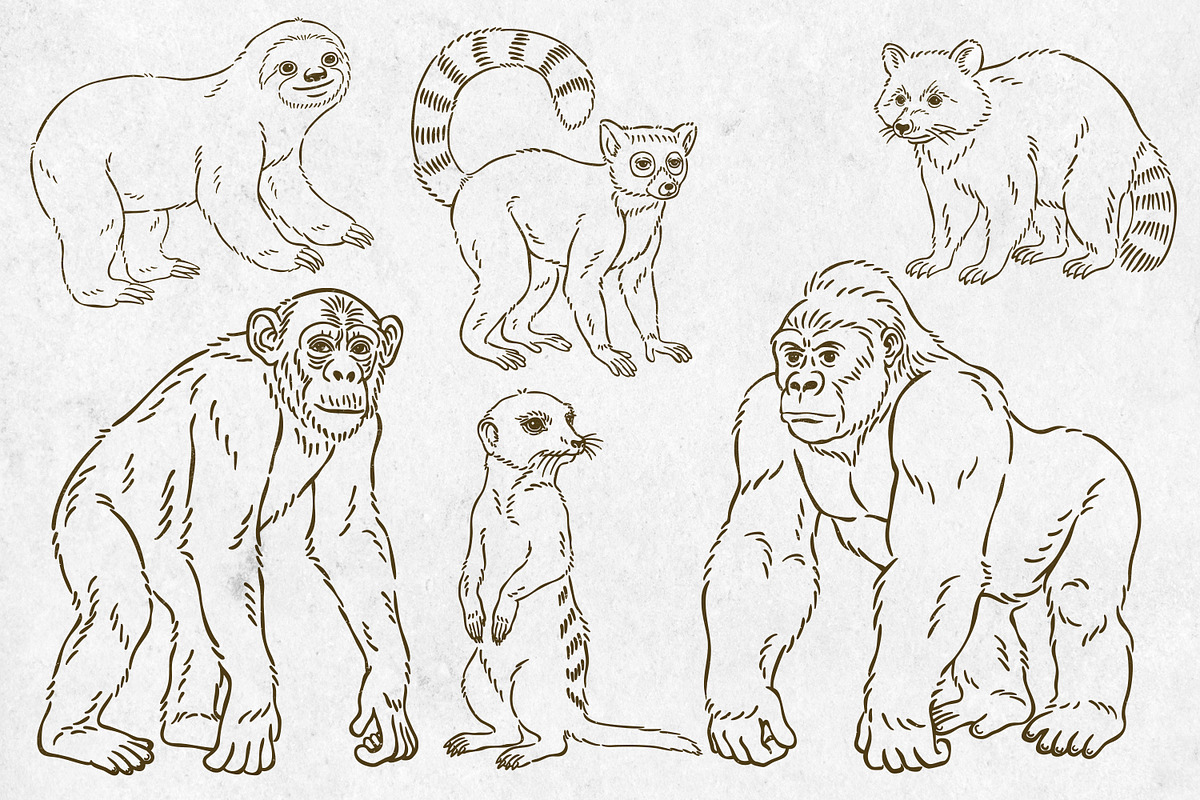 Wild Animals Line Art, an Animal Illustration by Tekuni (Photo 8 of 12)