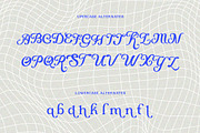 Lumidal - Modern Luxury Serif Font, a Serif Font by Qweera Studio (Thumbnail 11 of 12)