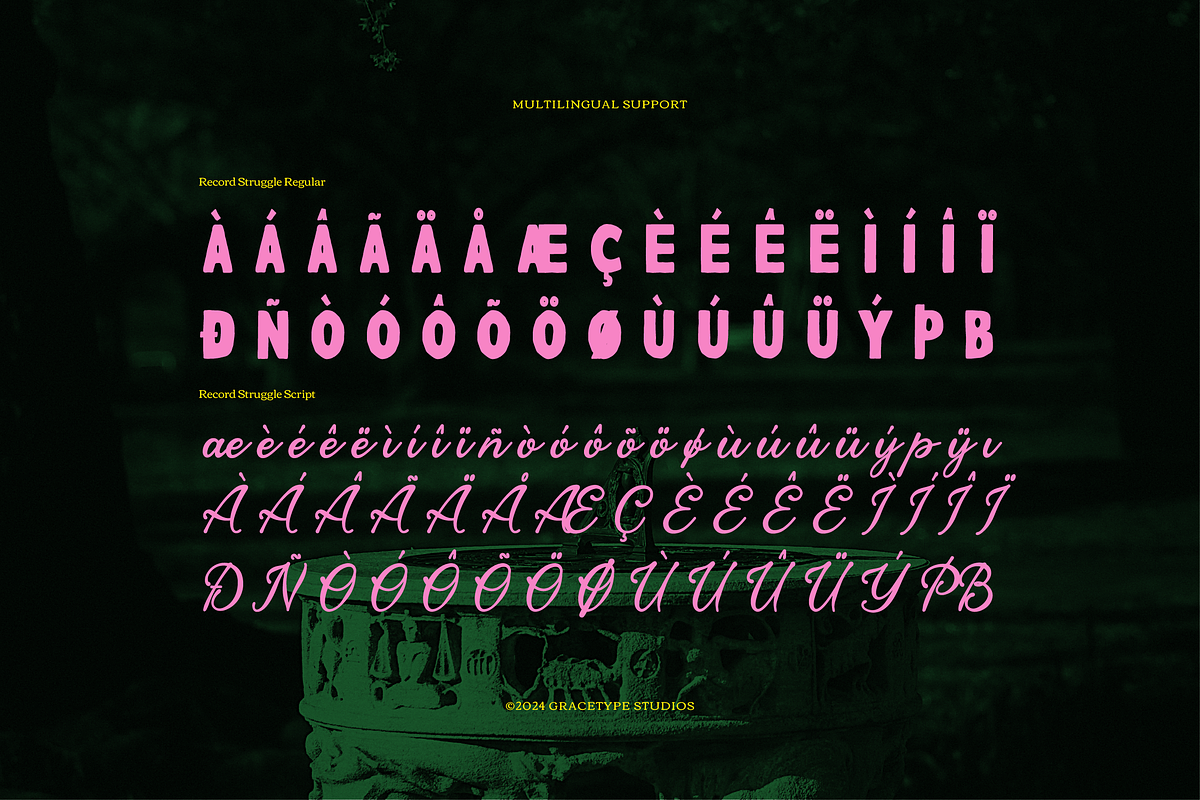 Record Struggle | Hand Drawn Script, a Font by gracetype_studio (Photo 12 of 12)