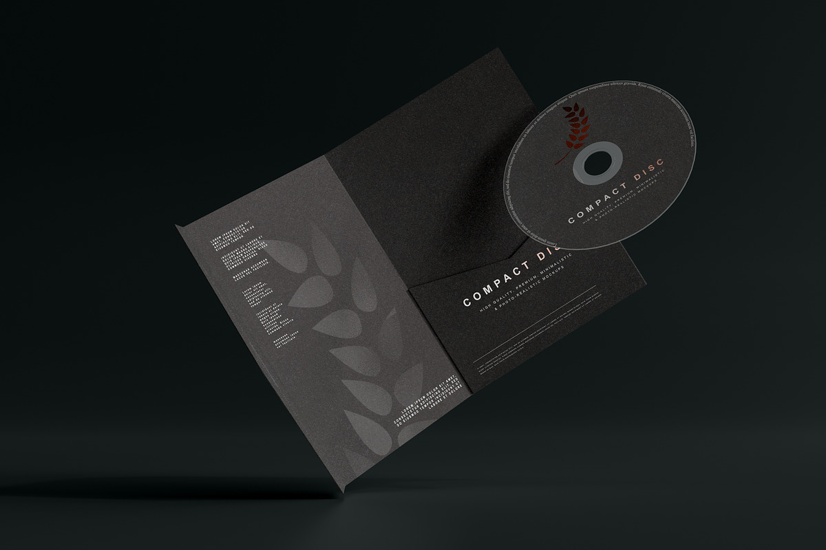 Disc & Sleeve Mockup, a Product Mockup by pmvch (Photo 7 of 10)