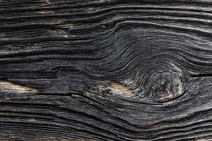 A close-up view of wood textured, a Photo by Pavel_design
