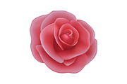 Rose. Vector Set., an Object Graphic by Gomolach (Thumbnail 4 of 6)