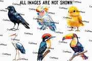 Cute Birds Clipart, an Illustration by Craft Nest (Thumbnail 3 of 6)