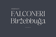 Swily Bright | Classy Font, a Serif Font by Jolicia Type (Thumbnail 4 of 11)