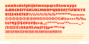 Graúna, a Sans Serif Font by Typeóca (Thumbnail 8 of 9)