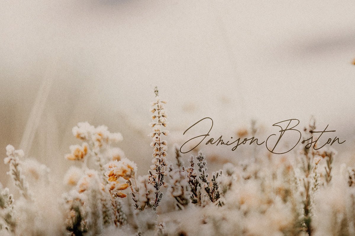 Bourdeilles France Script Font, a Script Font by Creativeqube Design (Photo 6 of 16)