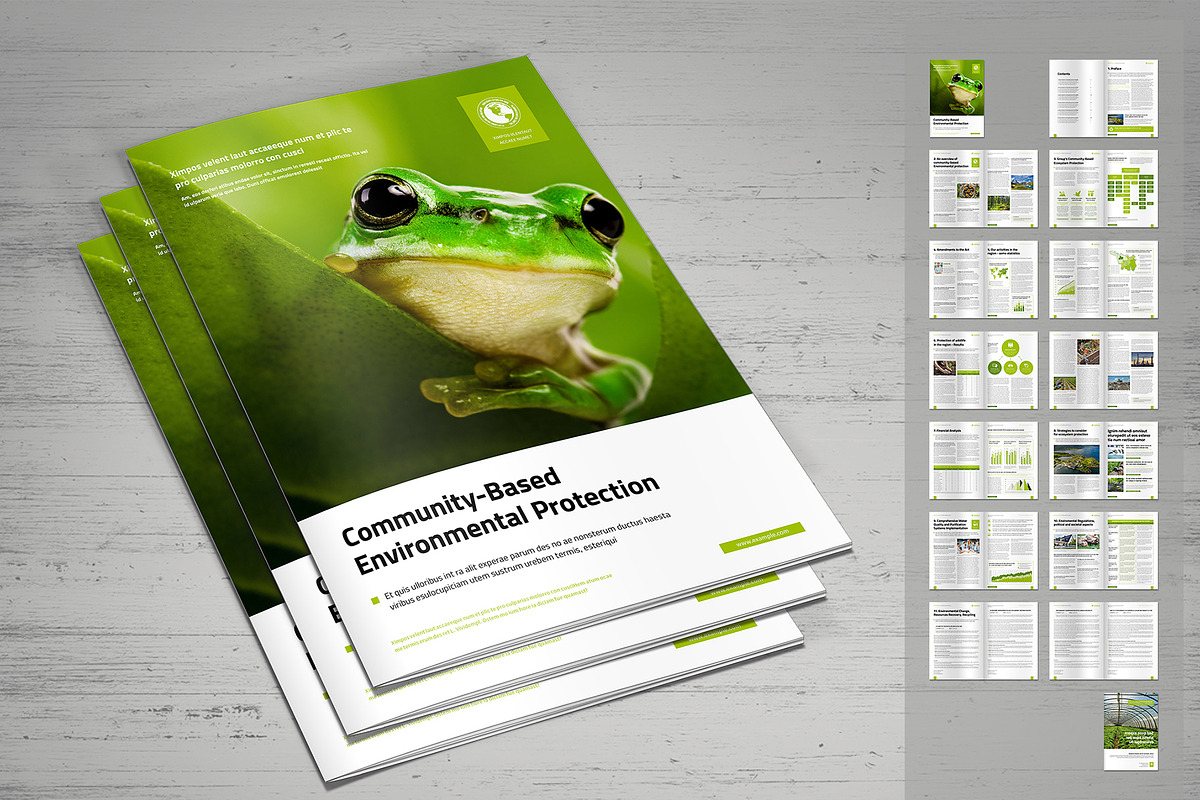 Eco Report, a Brochure Template by MrTemplater (Photo 1 of 2)