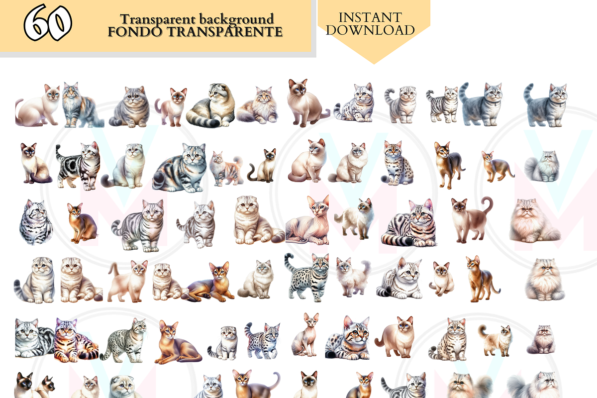 Cat Breeds PNG Bundle Cats Clipart, an Animal Illustration by VM PARTYS  BY TAIRUMA (Photo 8 of 10)