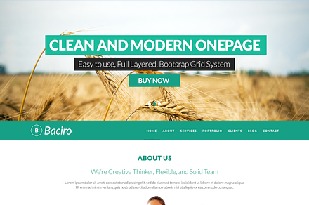 Baciro - Creative One Page Template