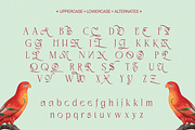 Negkomis — Elegant Ligature Serif, a Serif Font by Enxyclo Studio (Thumbnail 20 of 26)