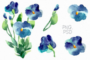 Watercolor violets, a Decorative Illustration by Colibri Watercolor (Thumbnail 2 of 6)