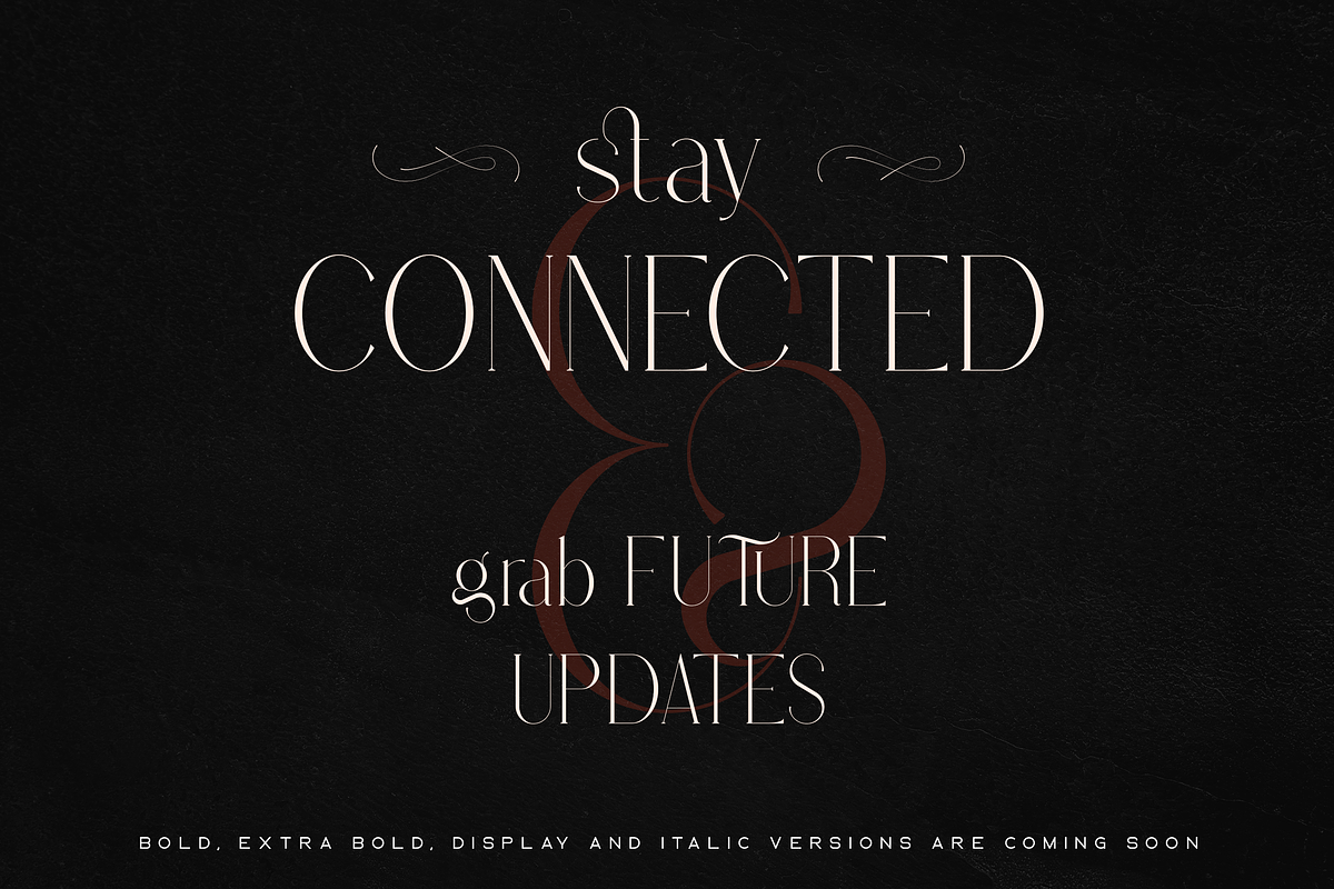 Stolen Love - Elegant serif typeface, a Serif Font by VP Fonts (Photo 21 of 34)
