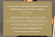 Tropicalist, a Handwritten Font by operatype.co (Thumbnail 14 of 15)