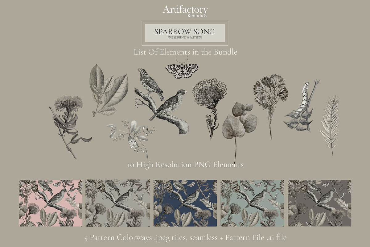 Sparrow Song PNG Element Bundle, a Pattern Graphic by Artifactory Studios (Photo 8 of 9)