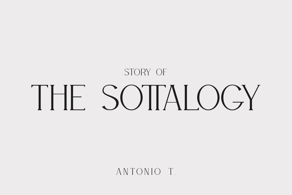 WILLSON - Clean Serif, a Serif Font by din-studio.com (Photo 3 of 10)
