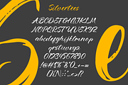 Silvertees – Handwritten Script Font, a Script Font by overlaytemplates (Thumbnail 4 of 5)