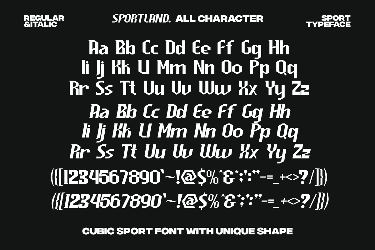 Sportland - Sport Race Font, a Sans Serif Font by Pandeka Studio (Photo 12 of 12)