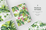 Tropical Foliage Watercolor set, a Decorative Illustration by Liliia Polos Illustration (Thumbnail 8 of 14)