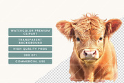 Watercolor Highland Cows Clipart, an Animal Illustration by BusyDaydesign (Thumbnail 4 of 8)