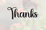 Butterfly | Script Font, a Handwritten Font by Scratchones (Thumbnail 9 of 9)