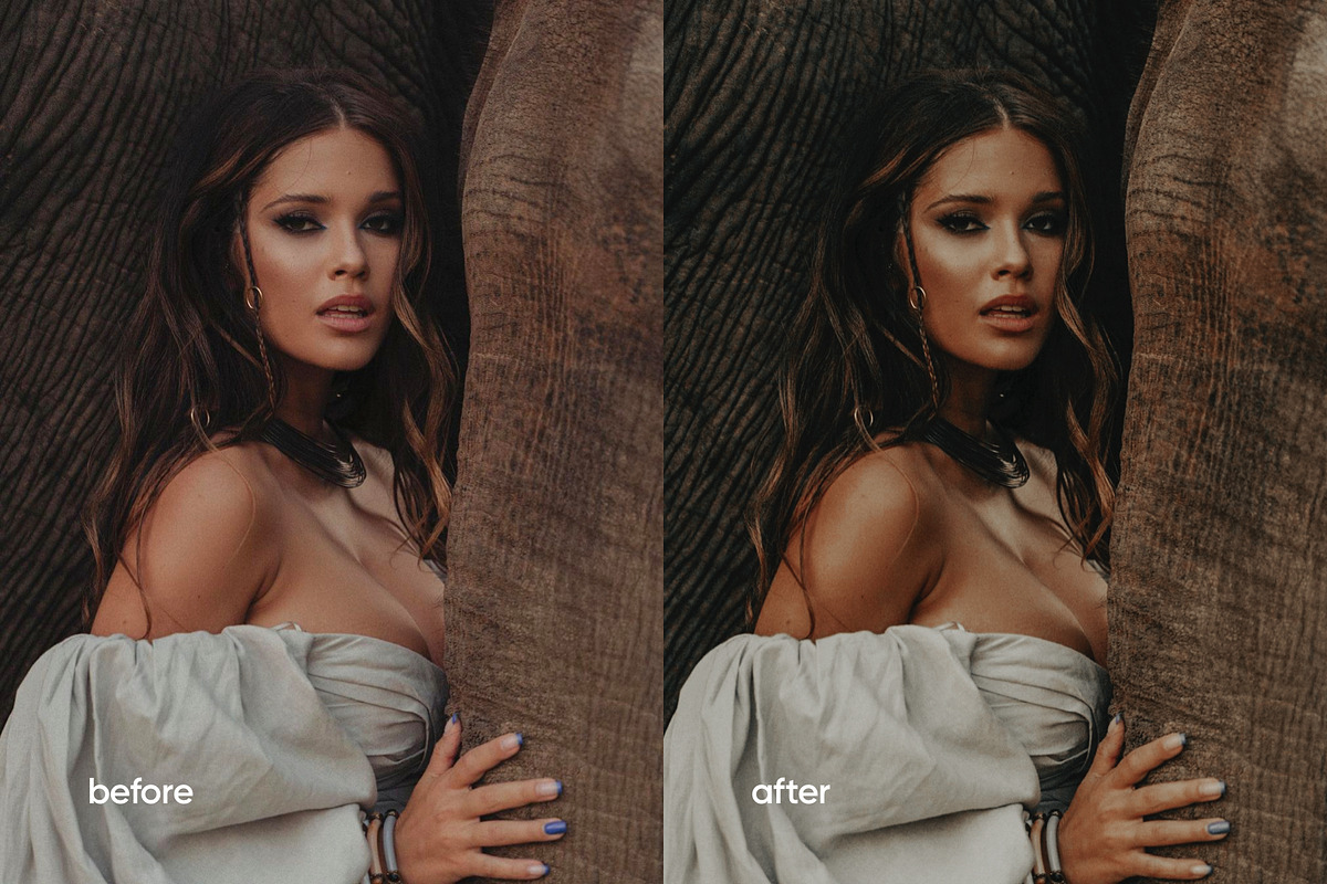 5 EARTHY LIGHTROOM PRESETS, a Preset Add-On by Hot Buns Presets (Photo 8 of 11)
