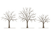 Leafy Trees, an Illustration by Illustrations by Jessie (Thumbnail 2 of 3)