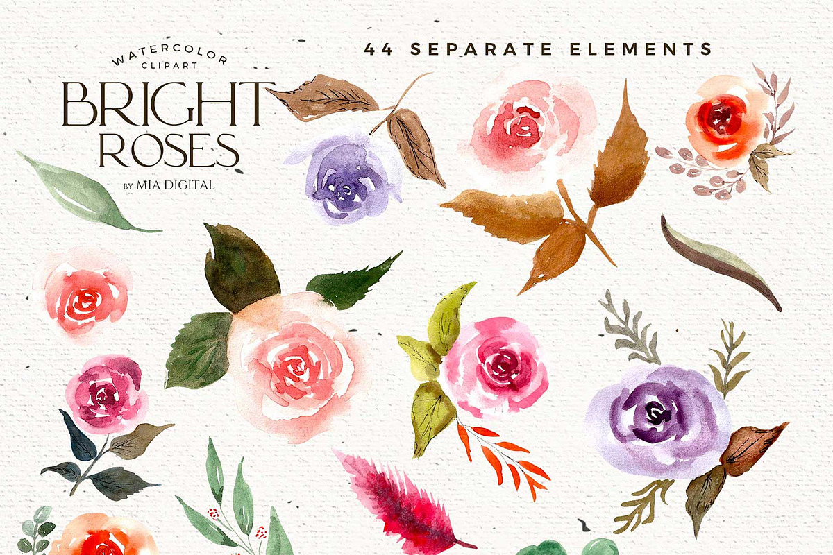 Bright Roses Watercolor Elements, an Illustration by Mia Digital (Photo 3 of 4)