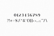 London | A Luxe Serif, a Serif Font by Jen Wagner Co (Thumbnail 8 of 9)
