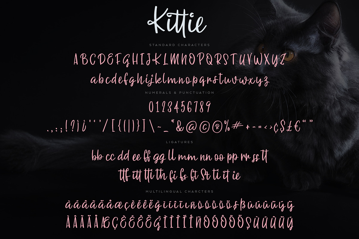 Kittie | Regular & Bold preview 8