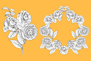 Camellia japonica, an Object Graphic by VictoriaKStudio (Thumbnail 5 of 6)