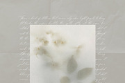 Blur Botanical Vellum Backgrounds, a Background Graphic by alonahaidash (Thumbnail 14 of 14)