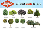 Botanical Bundle v2, an Object Graphic by envirographic (Thumbnail 2 of 5)