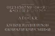 VIBERATE || ligature typeface, a Serif Font by ToniStudio (Thumbnail 7 of 10)