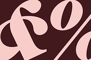 Shiny Black - Elegant Serif Typeface, a Serif Font by MaikoHatta (Thumbnail 6 of 9)