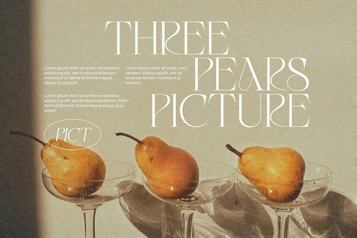Straw Modern Serif Font, a Serif Font by Perfectype (Photo 6 of 8)