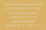 Spektra - Modern Serif Font, a Serif Font by Typeformers (Thumbnail 4 of 5)