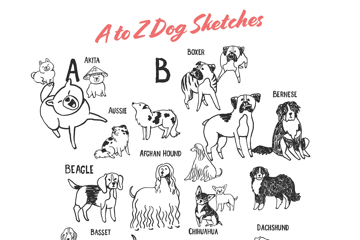 Whimsical Dog Alphabet, an Animal Illustration by Anastasiya Klempach (Photo 3 of 8)