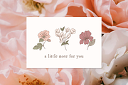 Blush Floral Vector Illustrations, a Decorative Illustration by Emma Webb Studio (Thumbnail 12 of 12)
