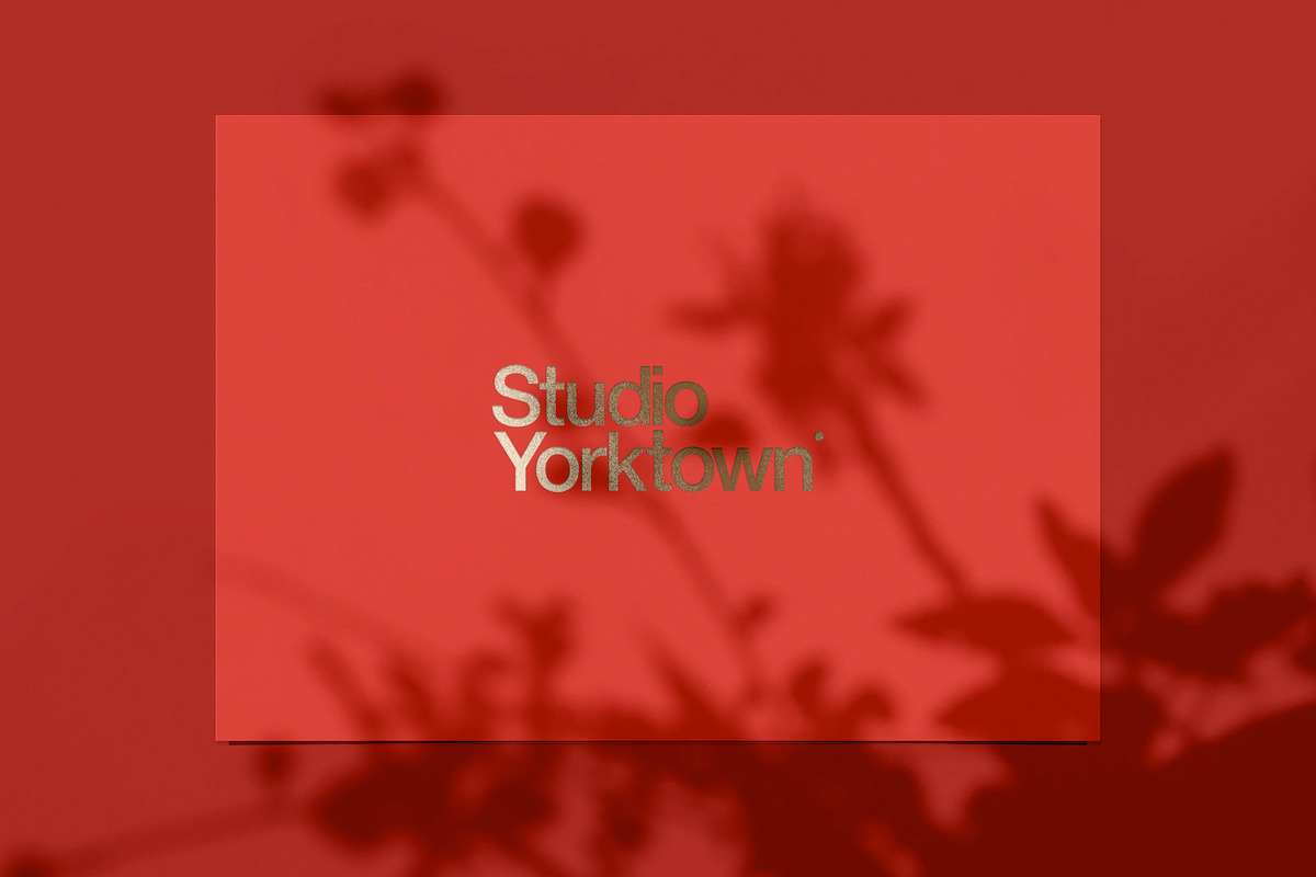 Kage - Botanical Shadow Overlays, a Texture Graphic by Studio Yorktown (Photo 7 of 10)