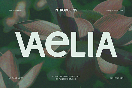Vaelia - Elegant & Playful Sans