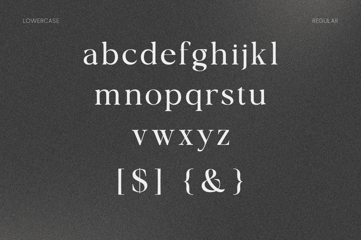 OV Cotin Serif Font Family, a Serif Font by OV Type (Photo 2 of 16)