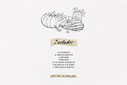 AUTUMN|Botanical line art collection, a Seasonal Illustration by Navenzeles (Thumbnail 2 of 16)