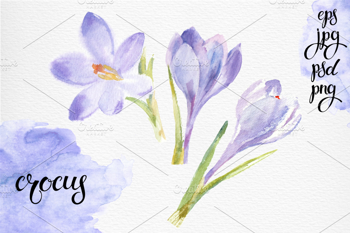 Spring flowers. Watercolor set., an Illustration by maritime_m (Photo 4 of 7)