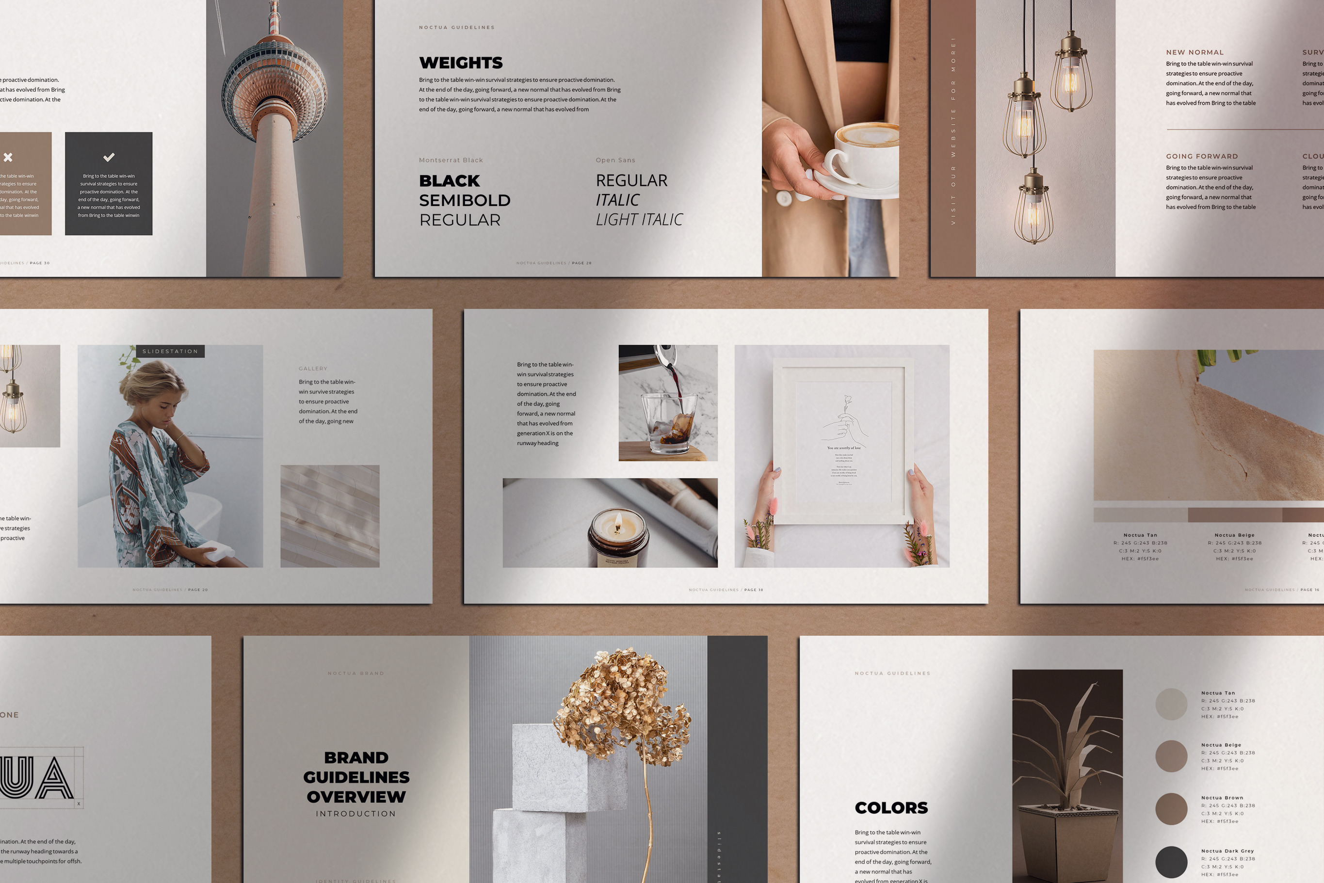 Noctua PowerPoint Brand Guidelines, a Presentation Template by SlideStation