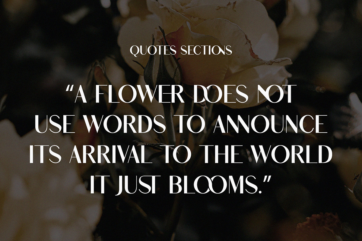 Shaqera Ligature Sans-Serif, a Sans Serif Font by Font Kingdom (Photo 4 of 4)