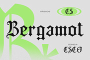 CS Bergamot – Blackletter Font, a Blackletter Font by Craft Supply Co. (Thumbnail 1 of 8)